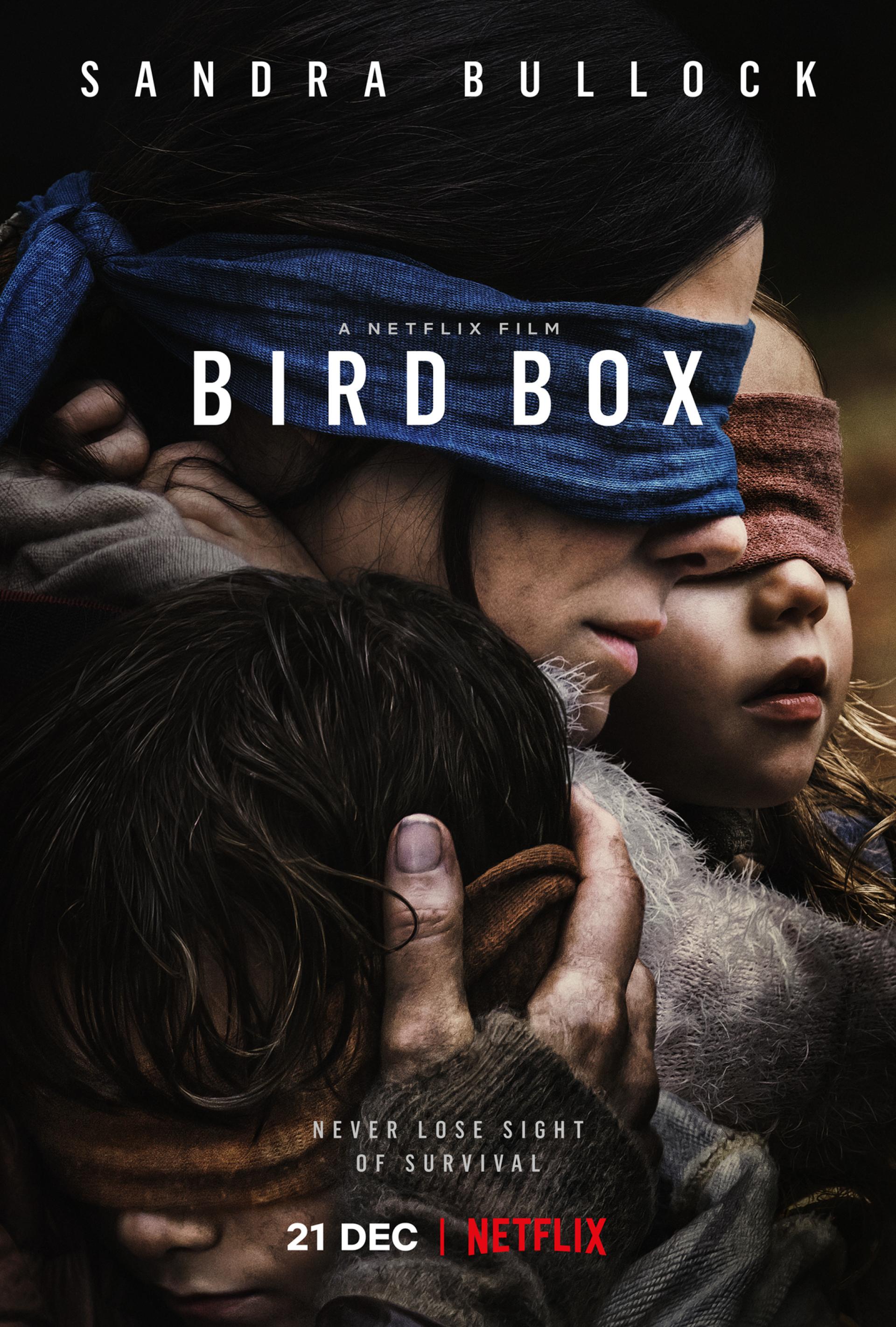 Bird Box (2018) poster