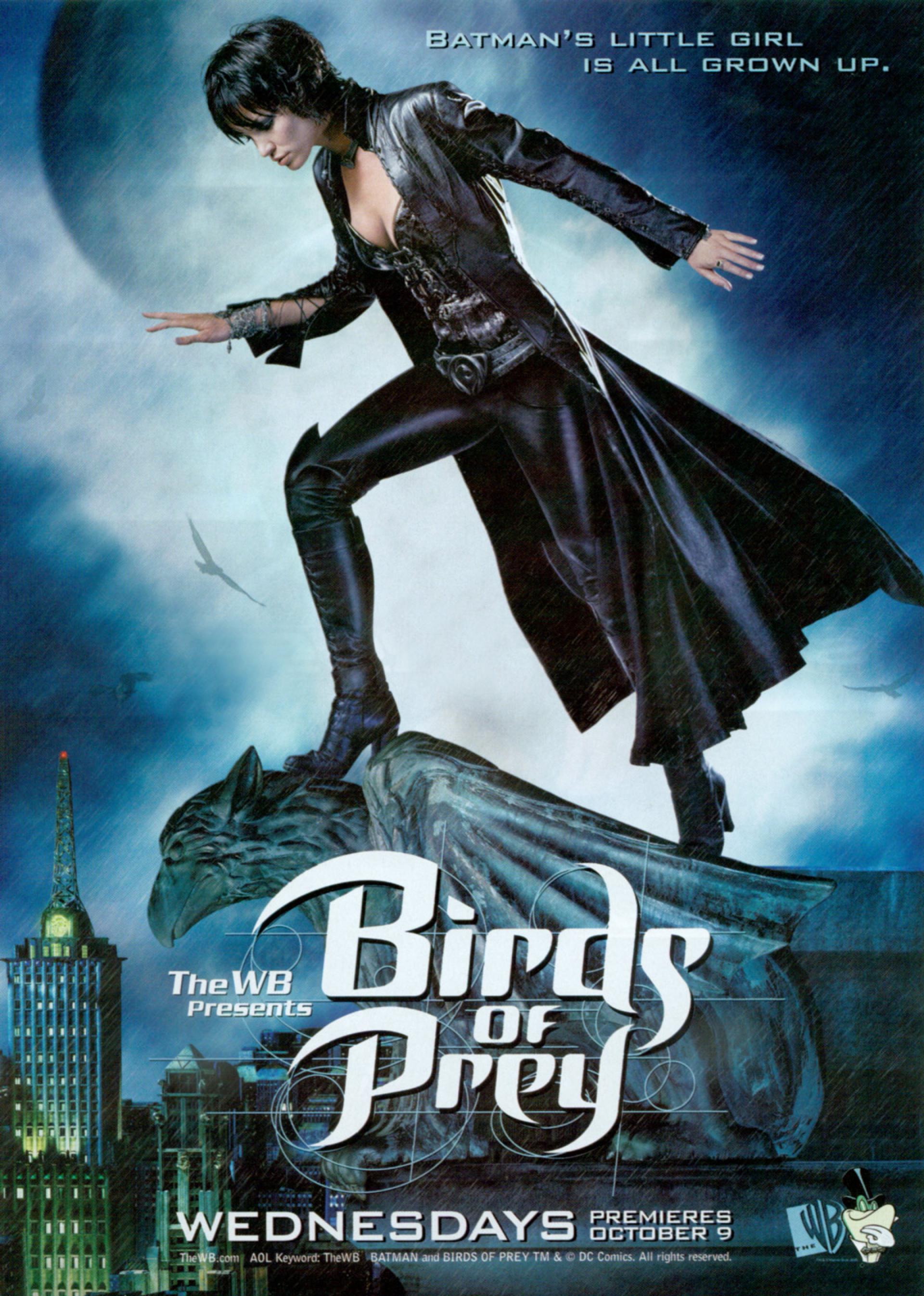 Birds of Prey (2002) poster