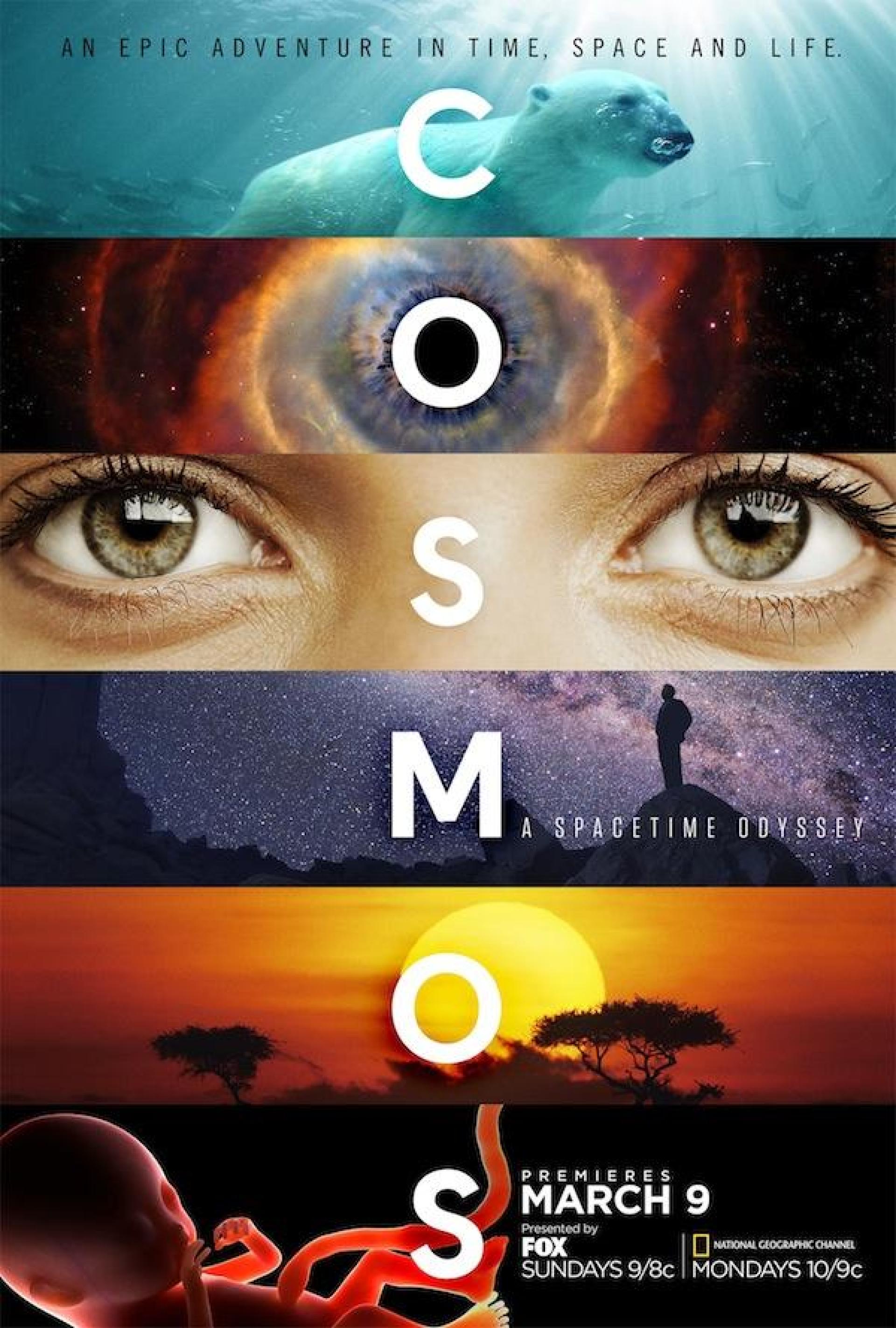 Cosmos: A Spacetime Odyssey (2014) poster