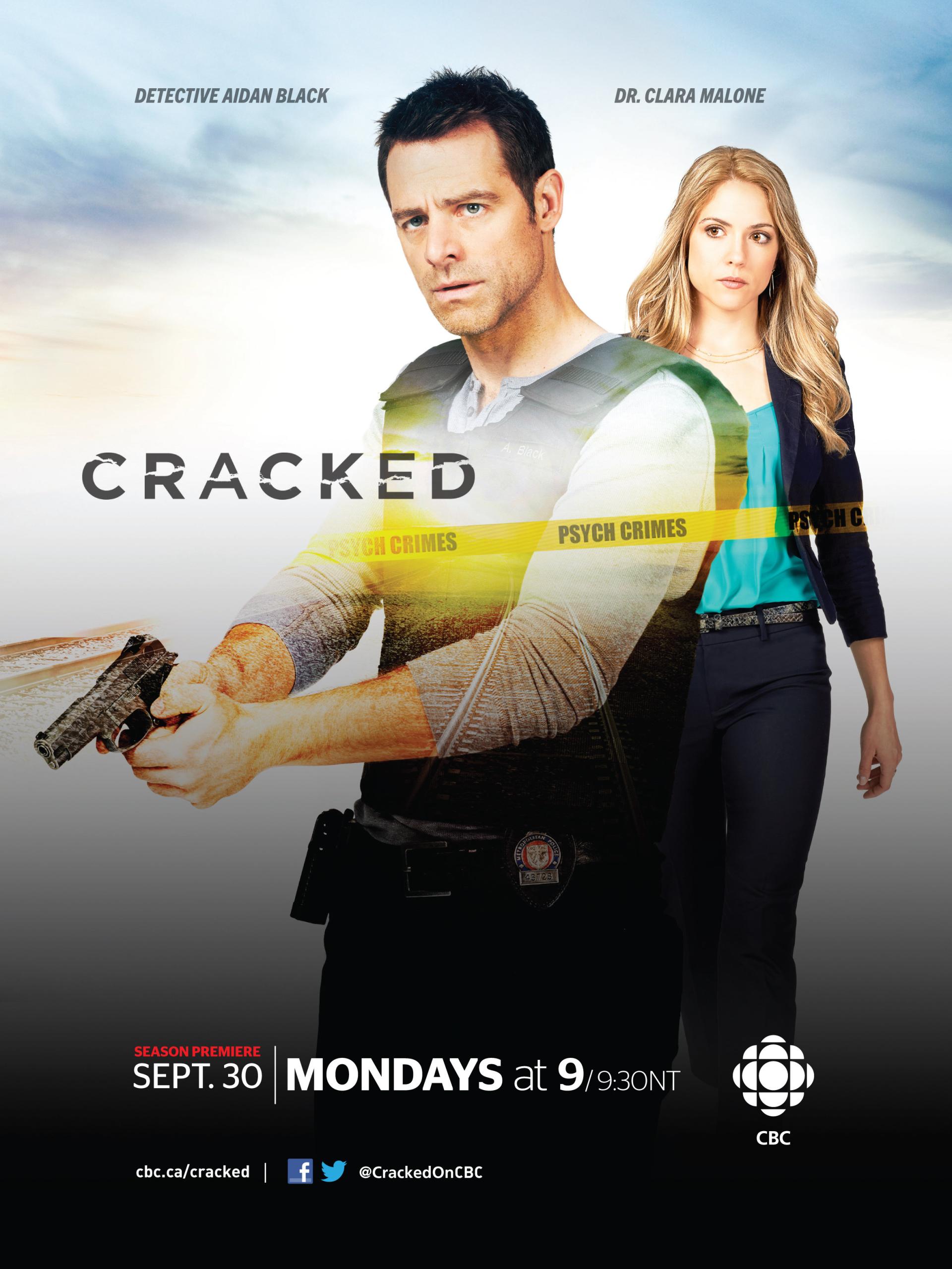 Cracked (2013) poster
