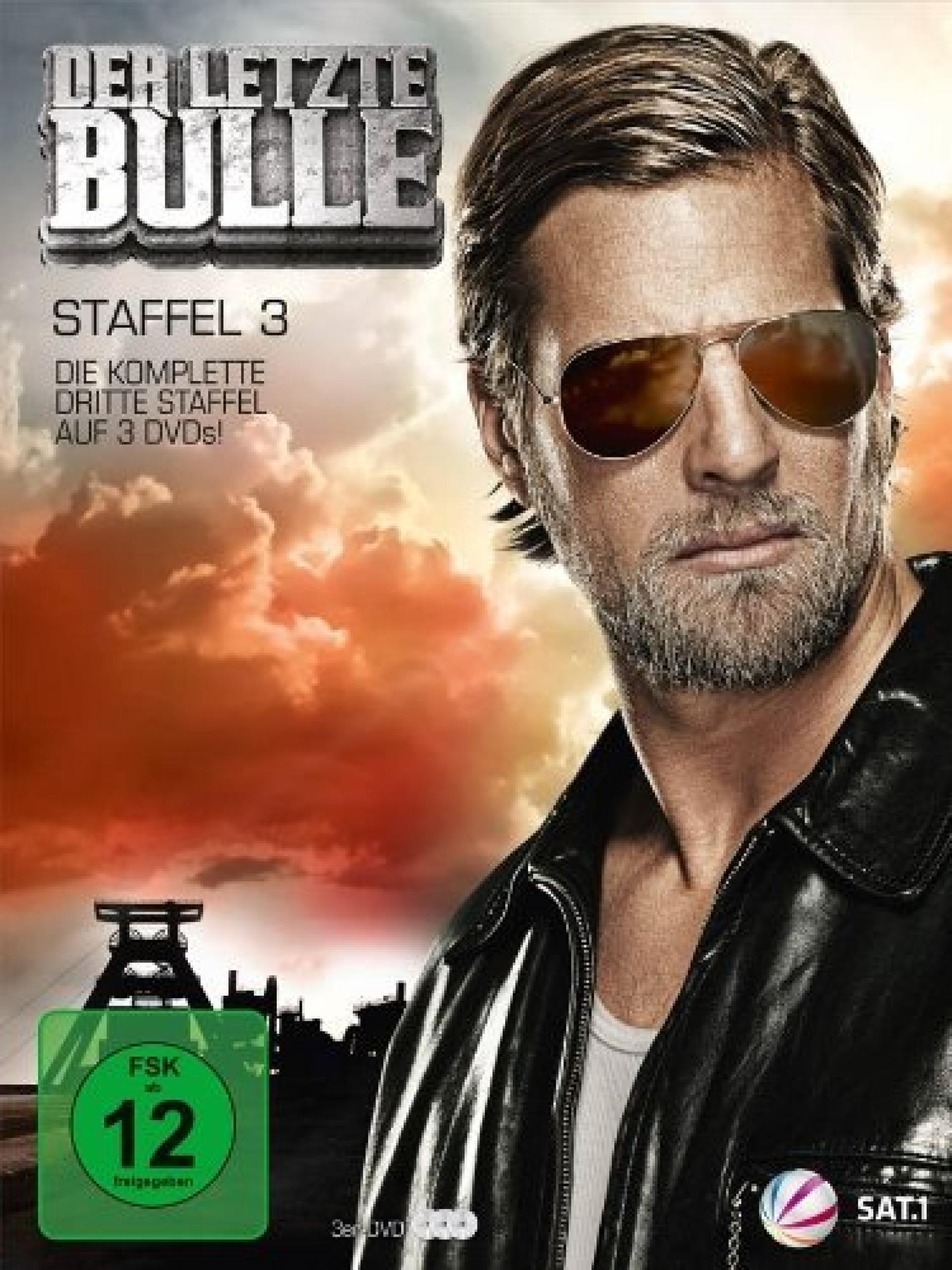Der letzte Bulle (2010) poster
