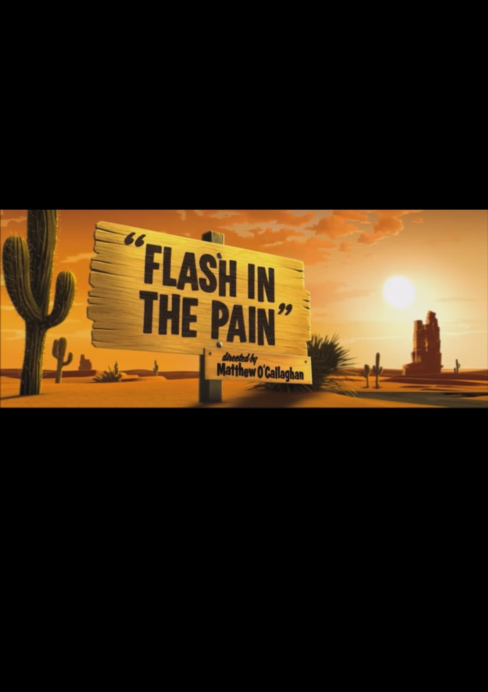 Flash in the Pain (2014) poster