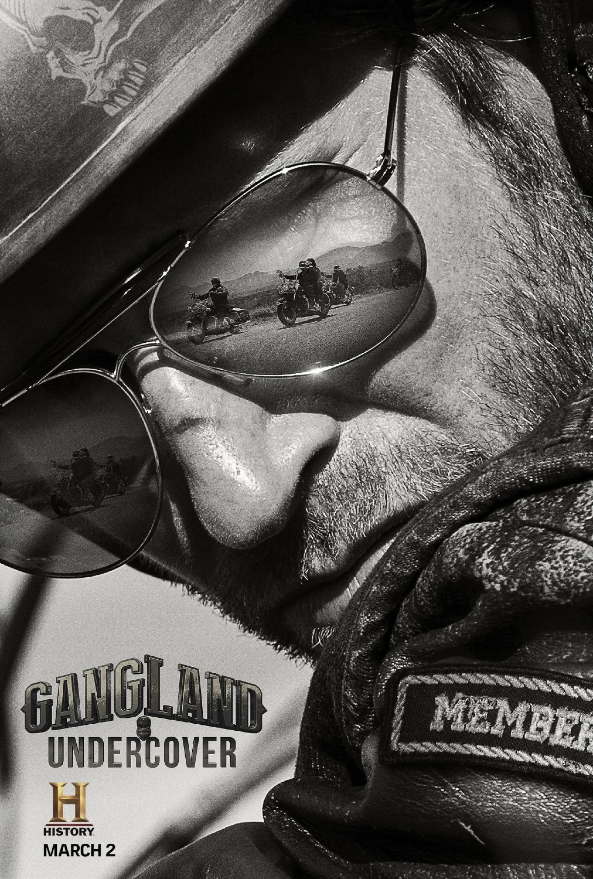 Gangland Undercover (2015) poster