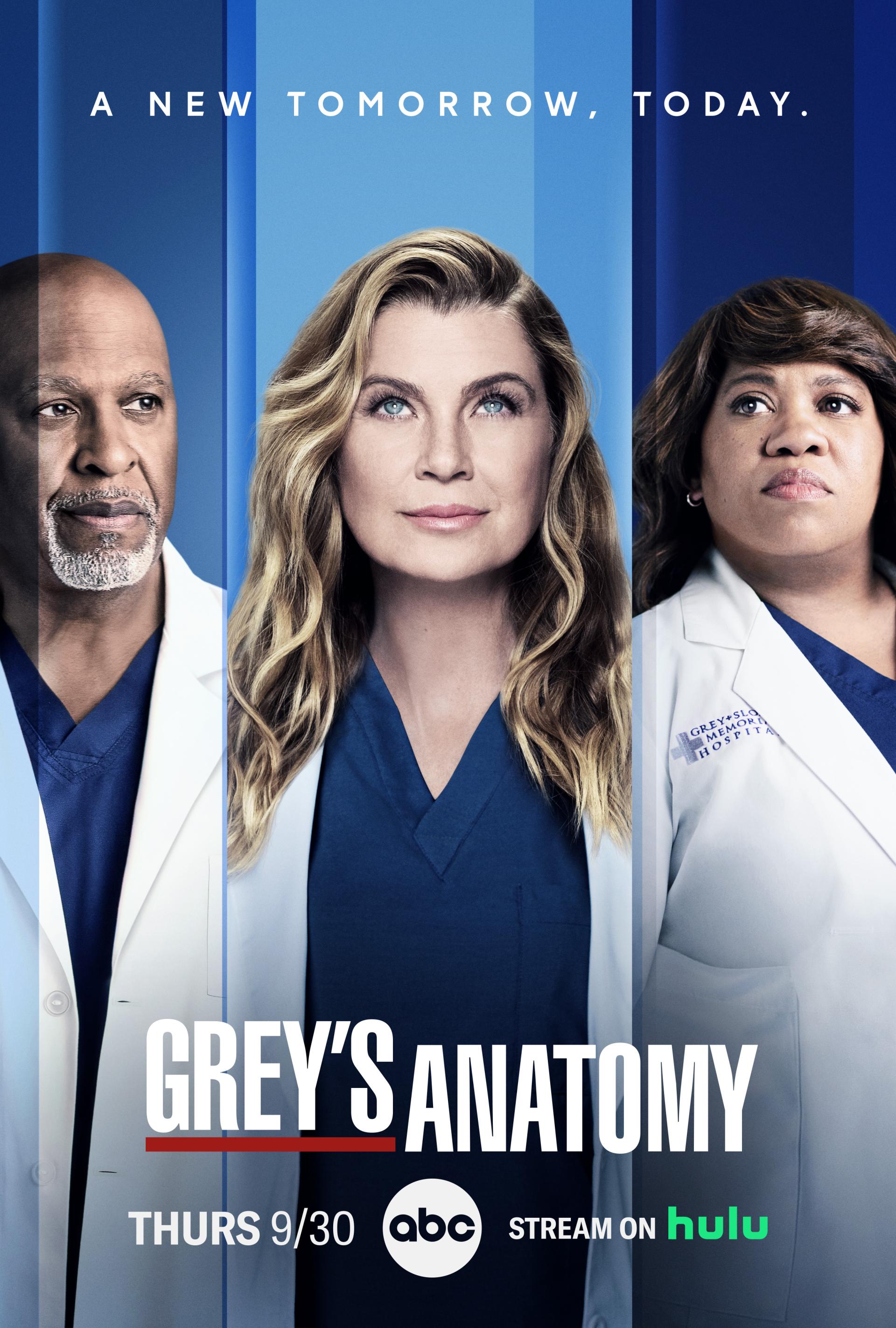 Grey's Anatomy (2005) poster