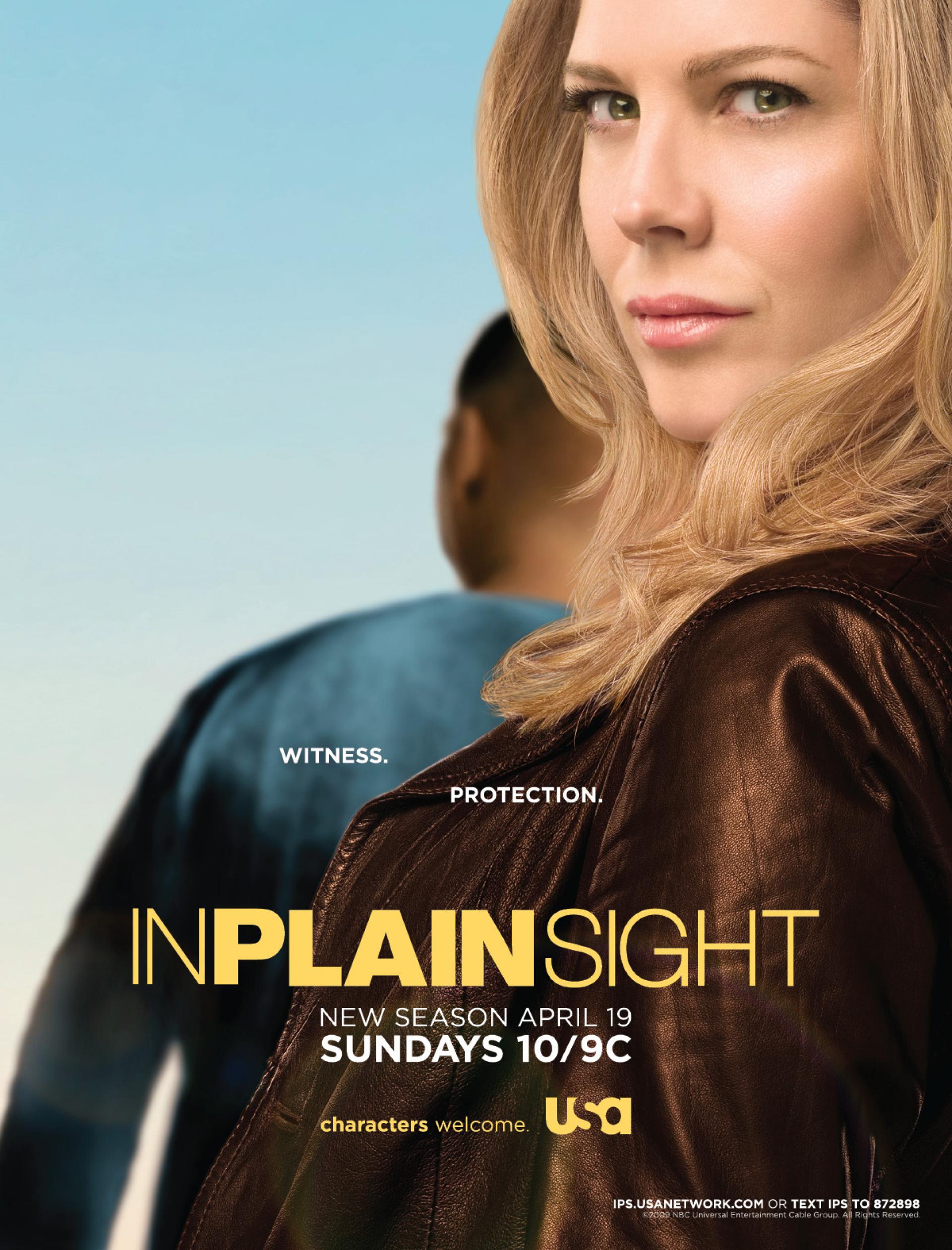 In Plain Sight (2008) poster