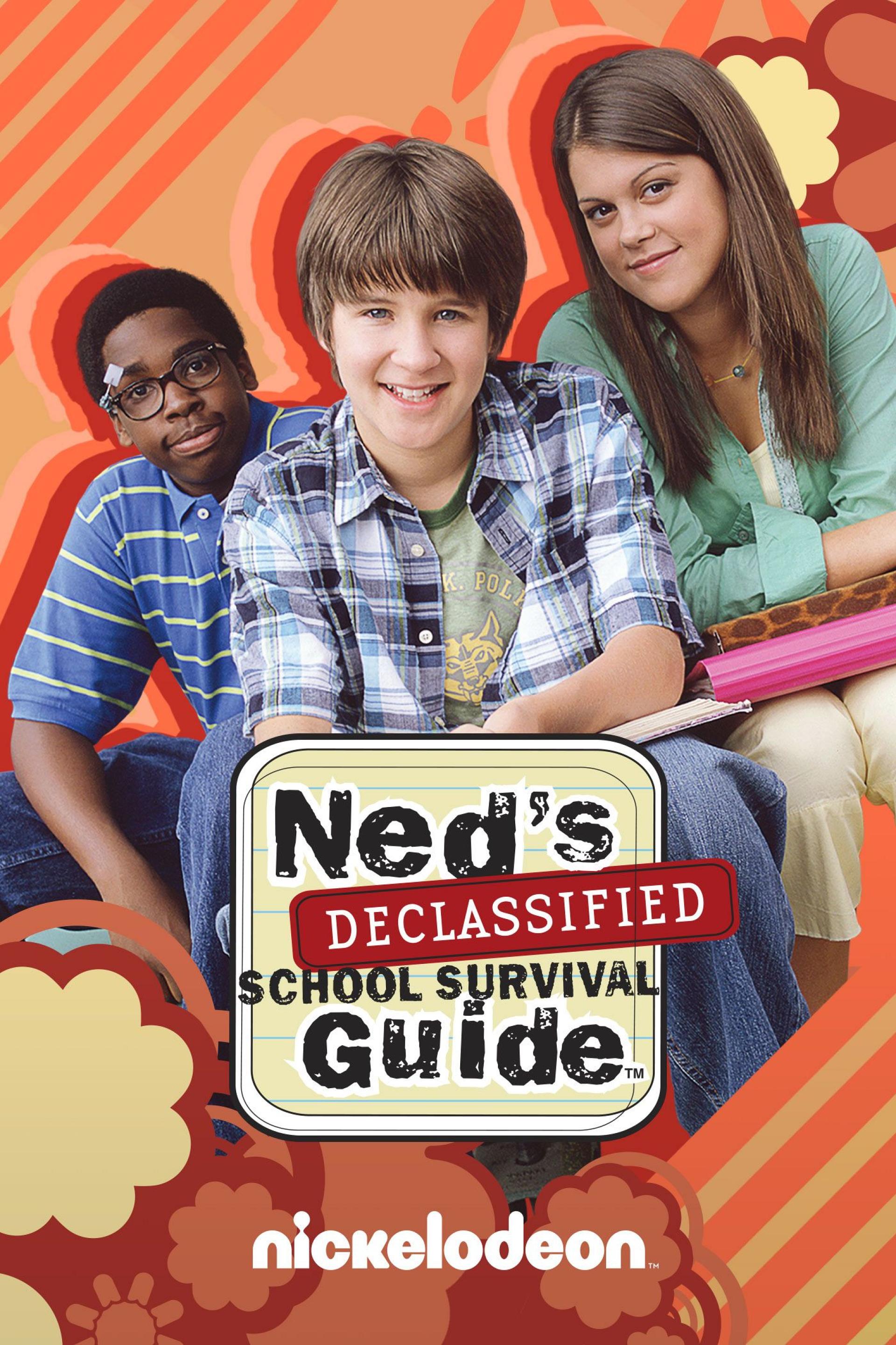 Ned's Declassified School Survival Guide (2004) poster