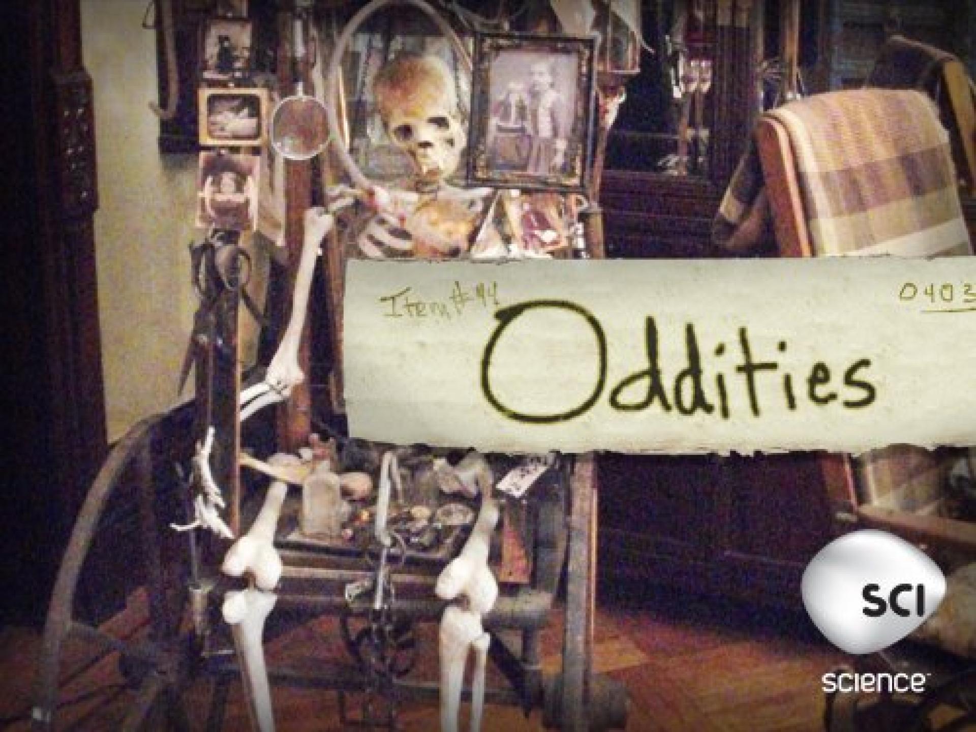 Oddities (2010) poster
