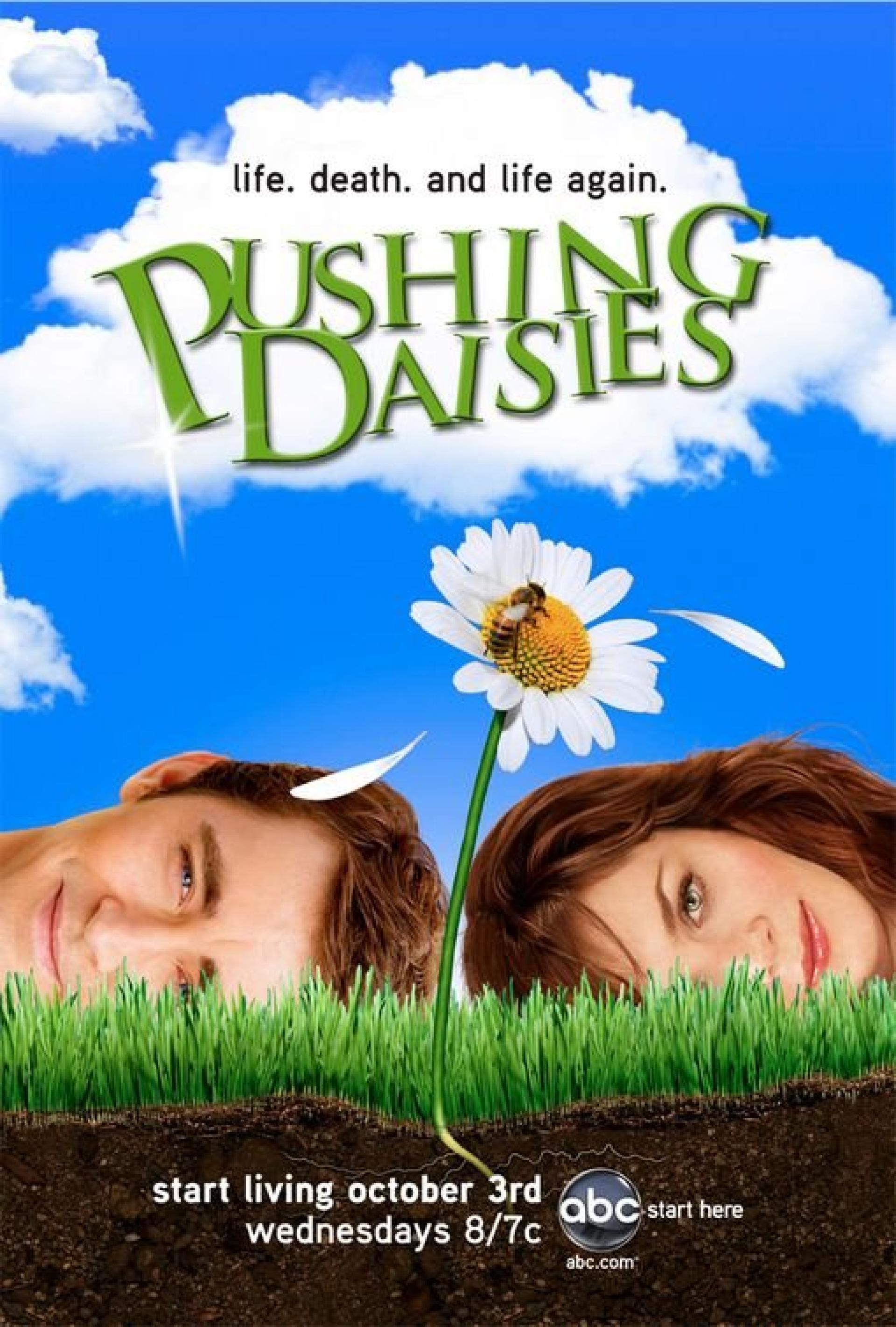 Pushing Daisies (2007) poster