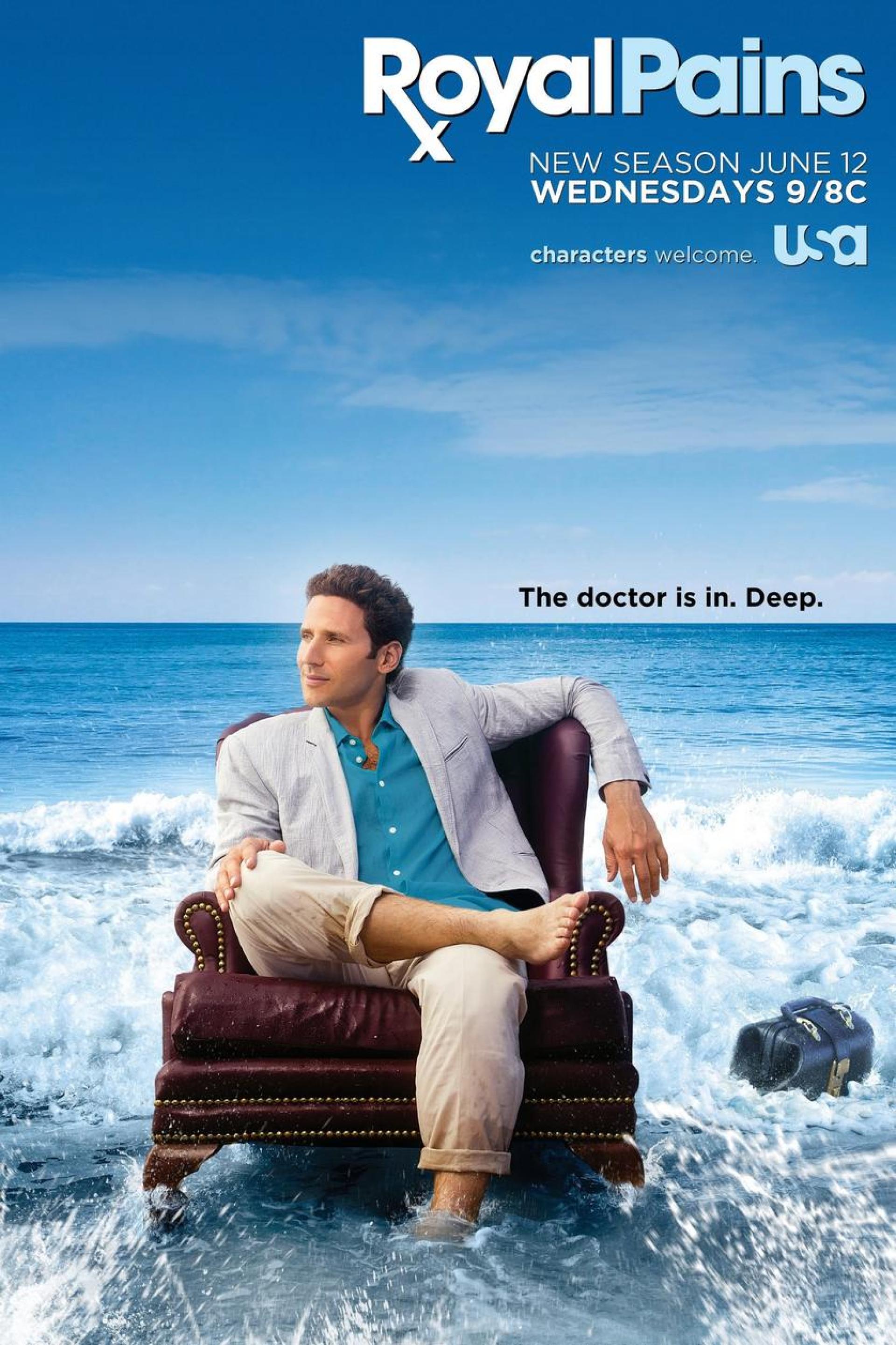 Royal Pains (2009) poster