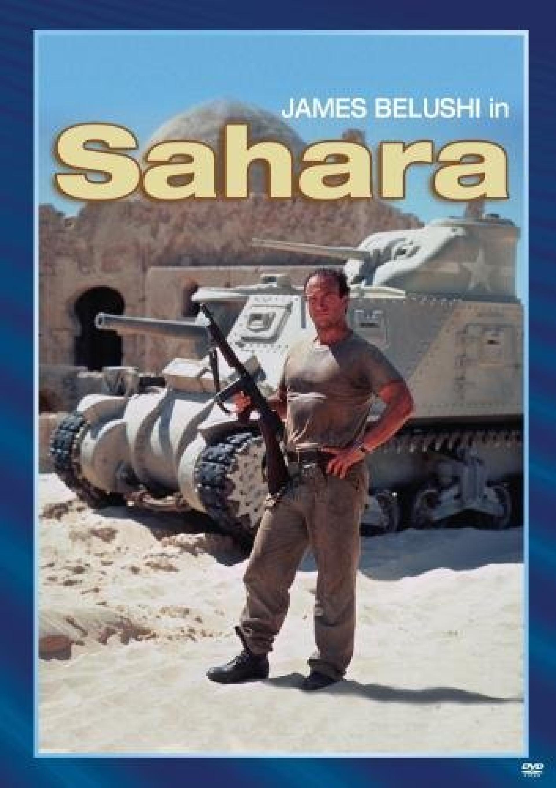 Sahara (1995) poster