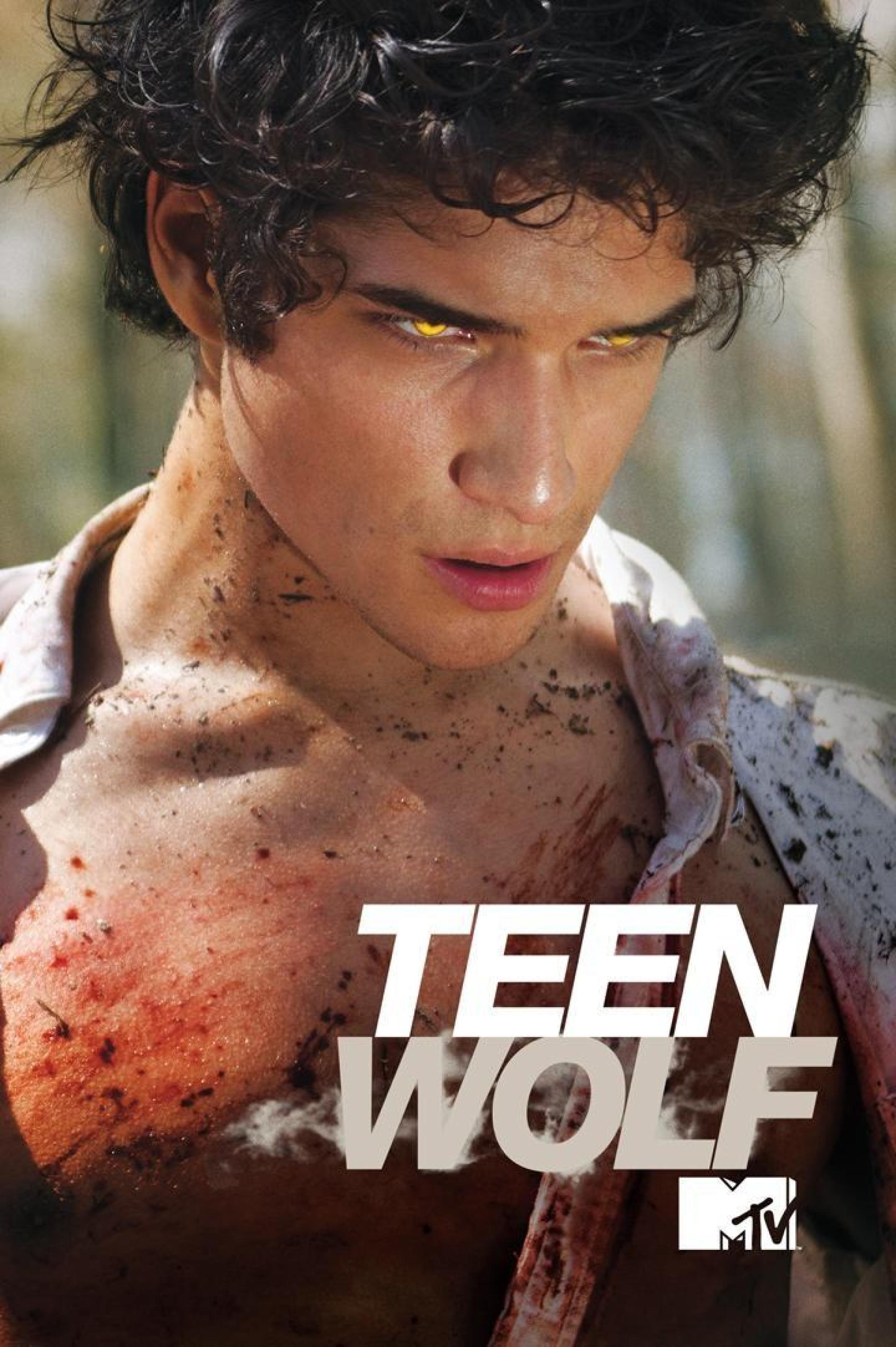 Teen Wolf (2011) poster