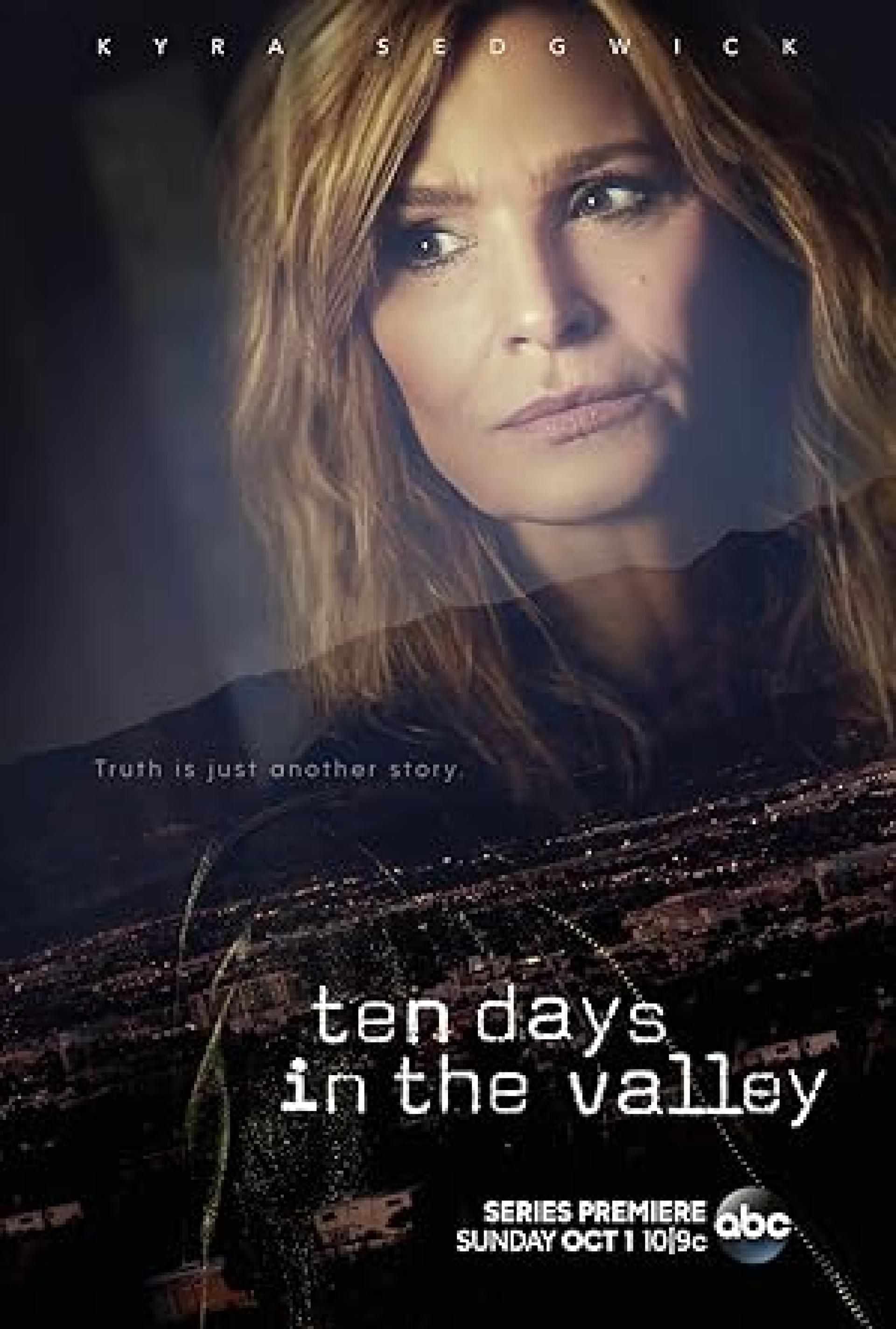 Ten Days in the Valley (2017) poster