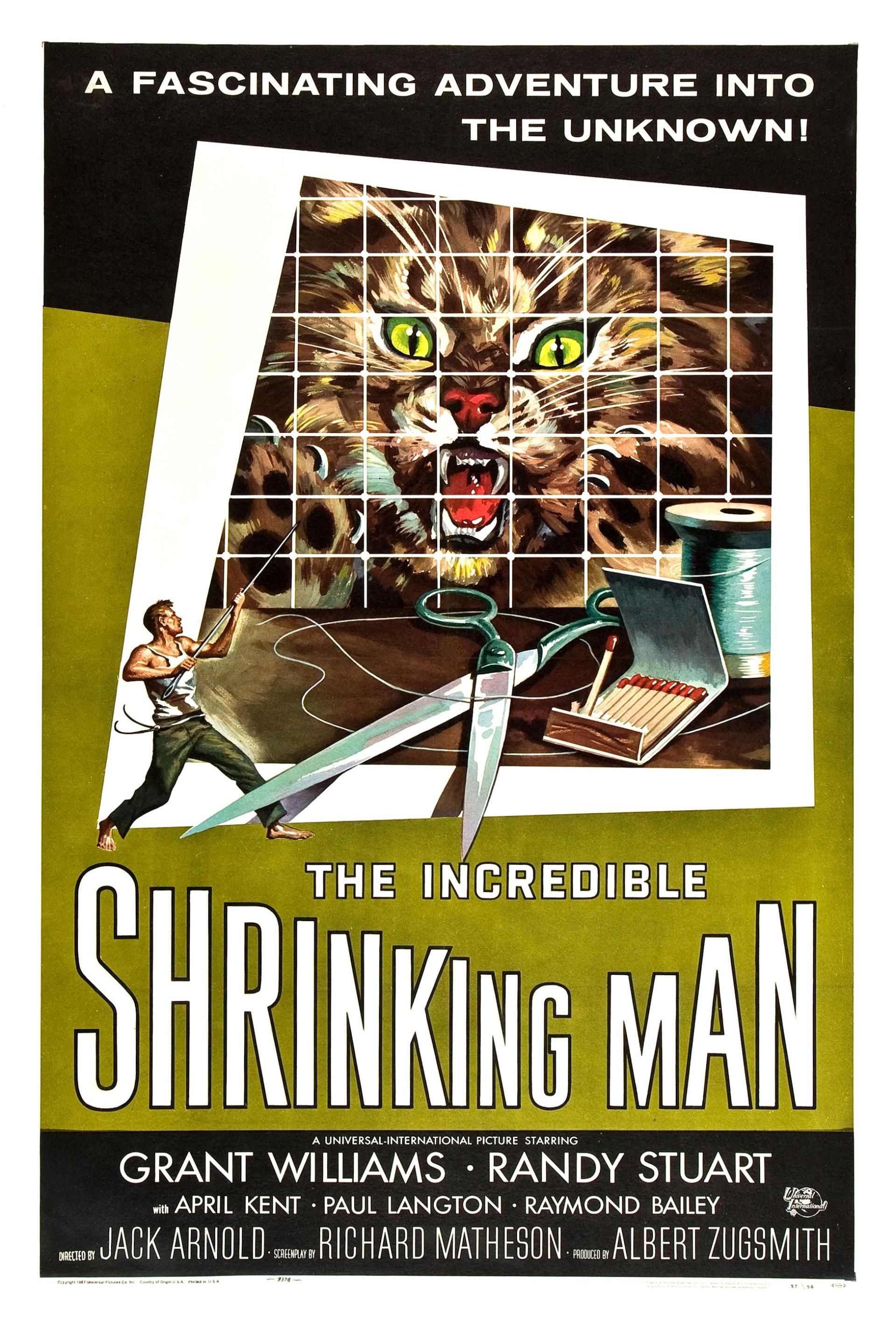 The Incredible Shrinking Man (1957) poster