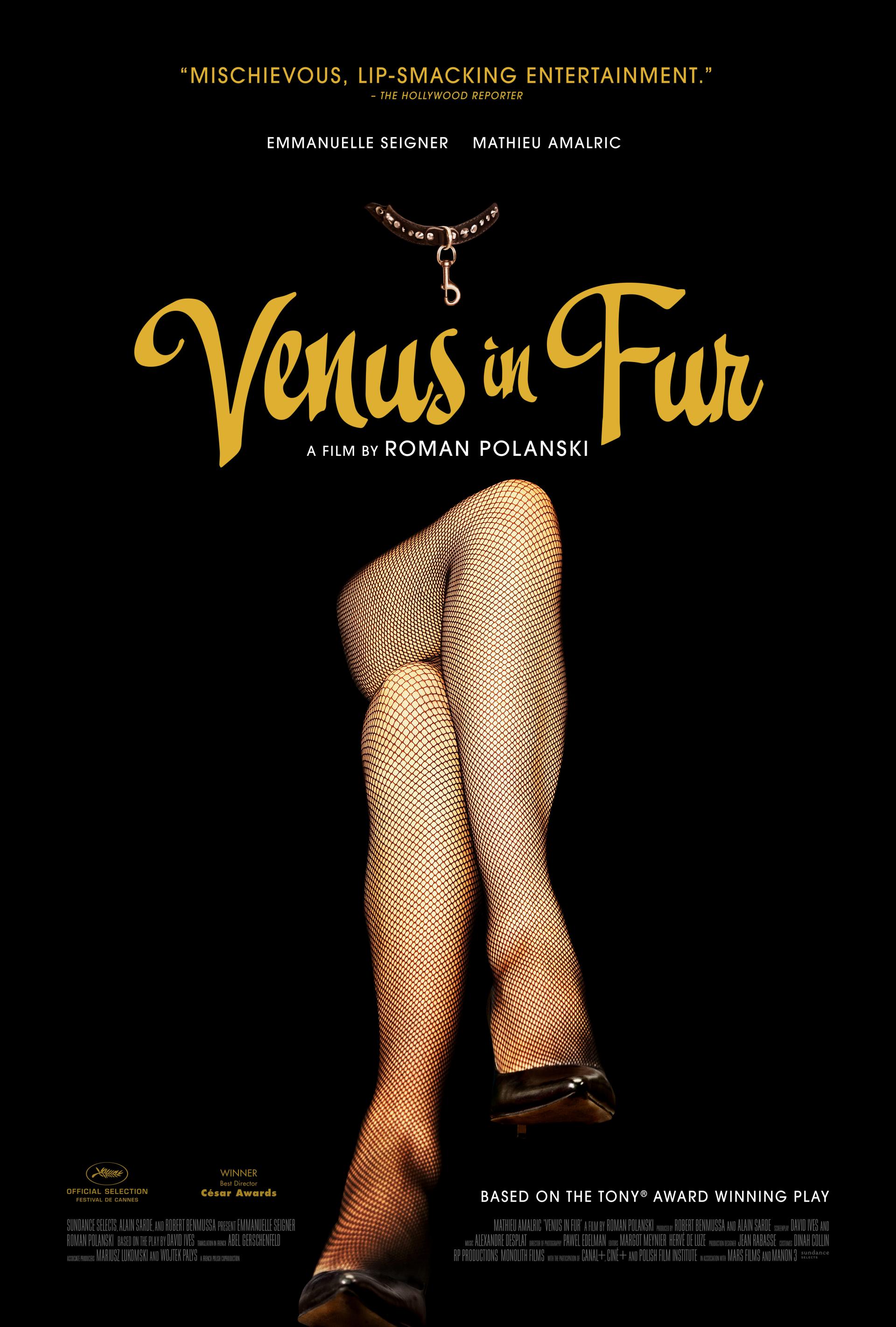 Venus in Fur (2013) poster