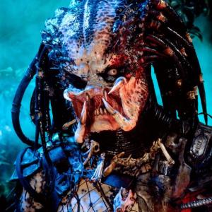 predatortje