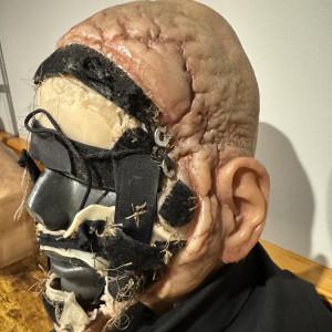 horrorfan95