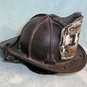 lwfiredog