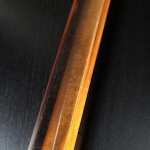 julius-313