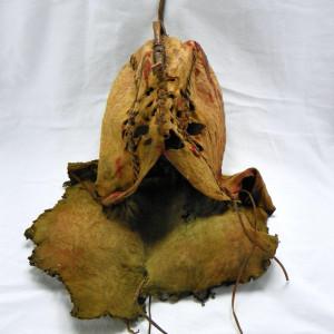 pegmathesauri