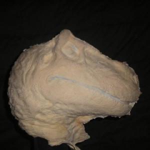carnosaurfan