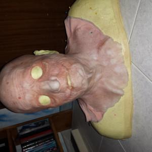 mattysfido