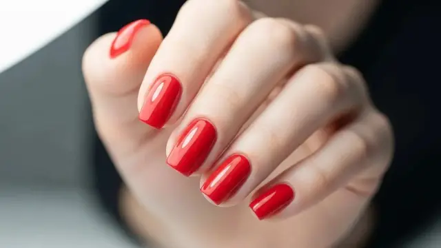 salon elegancia
